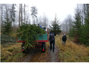 Es weihnachtet in St. Crescentius (Foto: Karl-Franz Thiede)